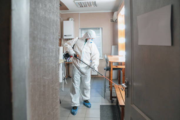 Best Environmental Consulting for Mold Prevention  in Tonka Bay, MN