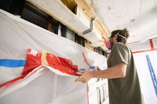 Best Crawl Space Mold Remediation  in Tonka Bay, MN