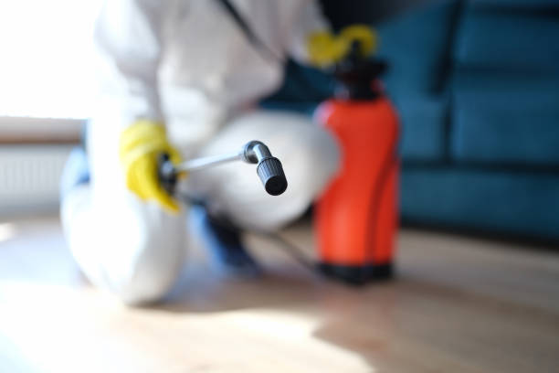 Reliable Tonka Bay, MN Mold Removal Solutions